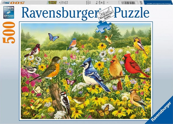 Puzzle Ptačí louka 500 dílků