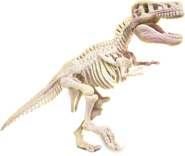 Sestav fosforeskující kostru