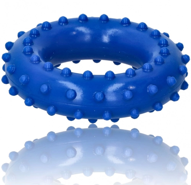 Rehabilitační disk Blue