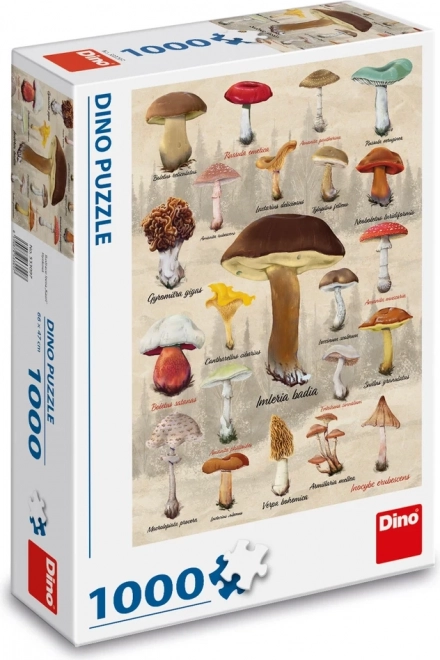Puzzle houby koláž 1000 dílků