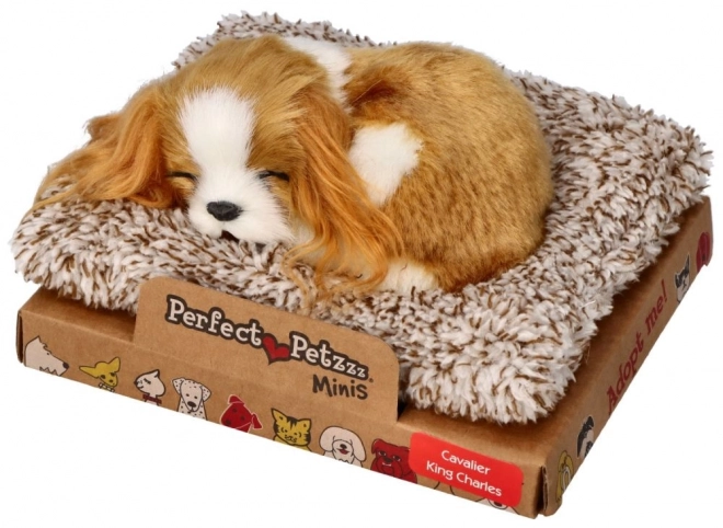 Spící štěňátko Cavalier King Charles Perfect Petzzz