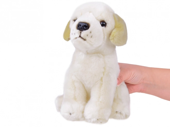 Maskot plyšový labrador sedící 20cm 13475