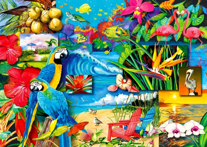 Užijte si Puzzle Tropické Poklady 1000 dílků