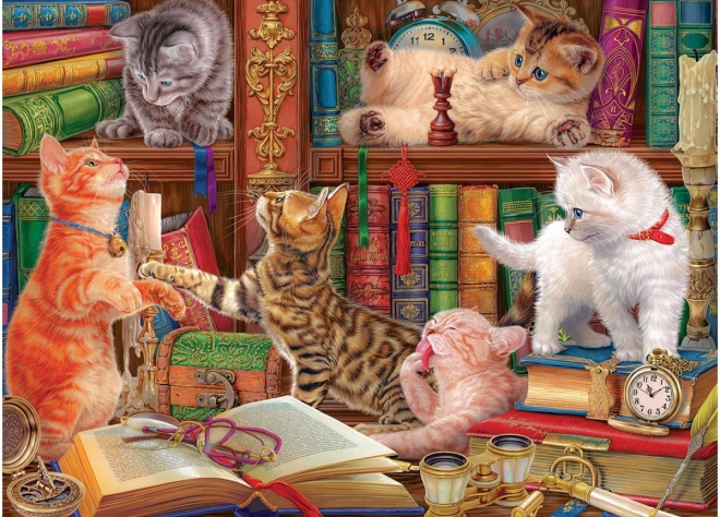 Eurographics puzzle kočičí knihovna 1000 dílků