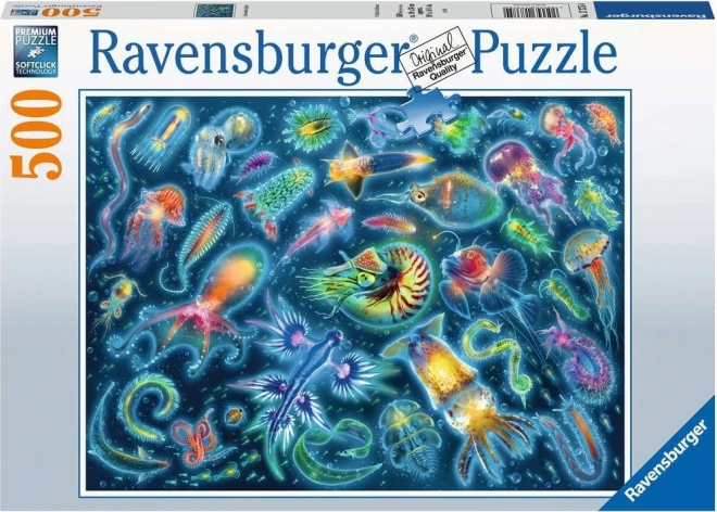 Puzzle Medúzy 500 dílků