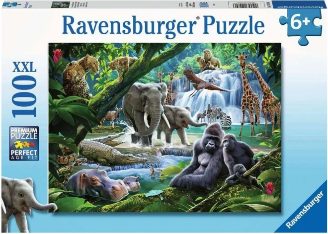 Puzzle Zvířata z džungle XXL 100 dílků