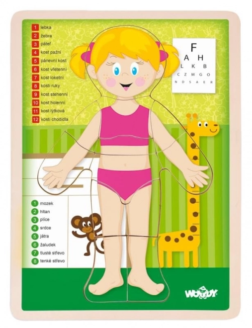 Woody dřevěné oboustranné puzzle lidské tělo - dívka
