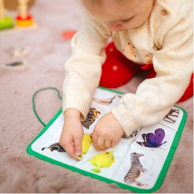 Edukační box TOOKY TOY Montessori XXL 7v1