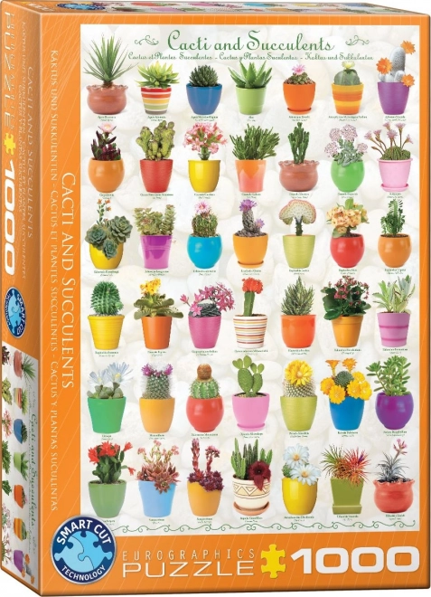 EUROGRAPHICS Puzzle Kaktusy a Sukulenty 1000 dílků