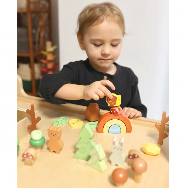 Lesní sada s dřevěnými kostkami Tooky Toy