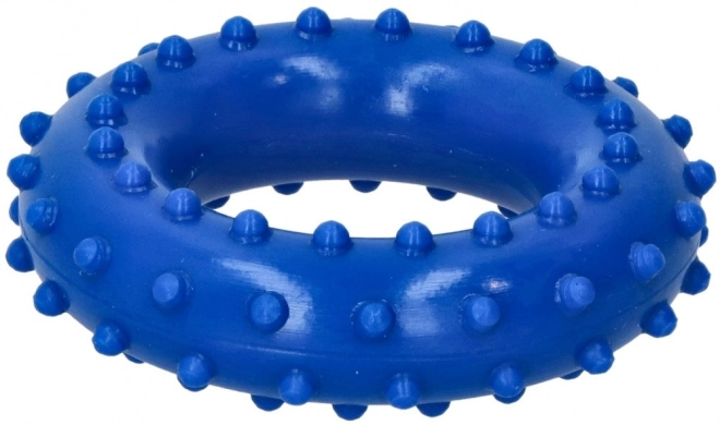 Rehabilitační disk Blue