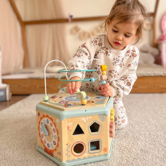 Interaktivní dřevěný šestiúhelník Montessori TOOKY TOY