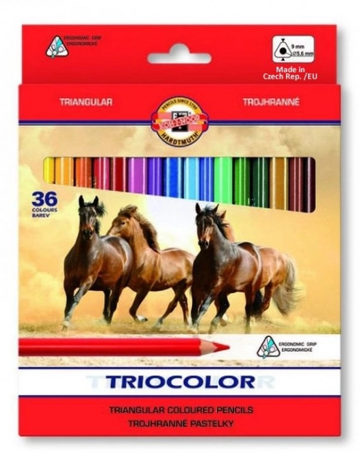 KOH-I-NOOR Trojhranné pastelky Triocolor 3145 - 36ks