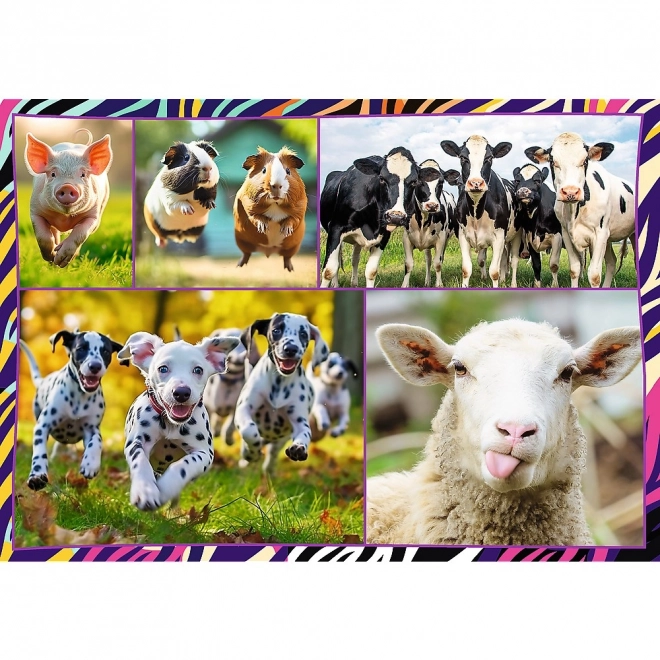 Puzzle 4x250 prvků Zábavná zvířata