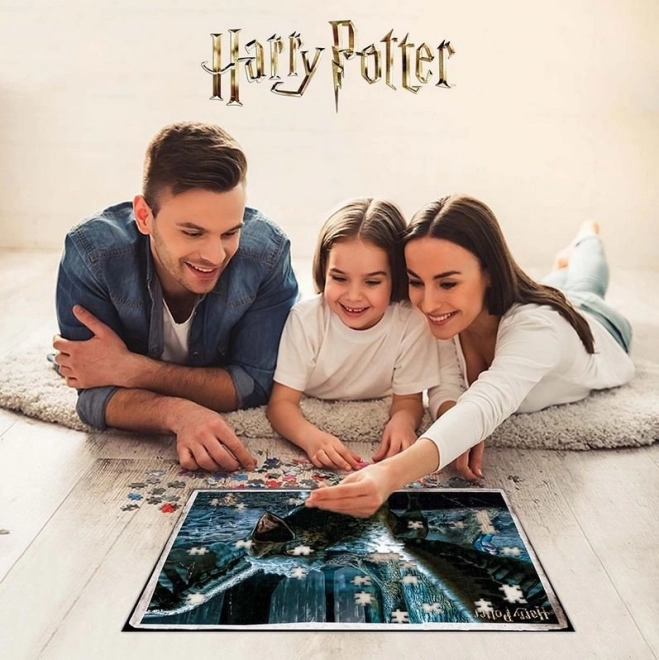 3D puzzle Harry Potter: Klofan XL