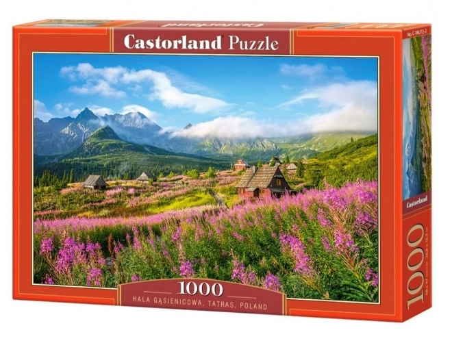 Puzzle 1000 dílků Hala Gąsienicowa Tatry Polsko