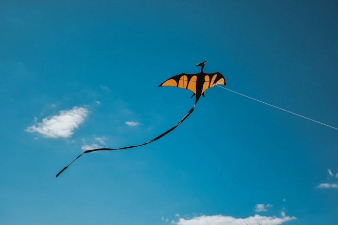 Létající drak Pterodaktyl 170 x 90 cm