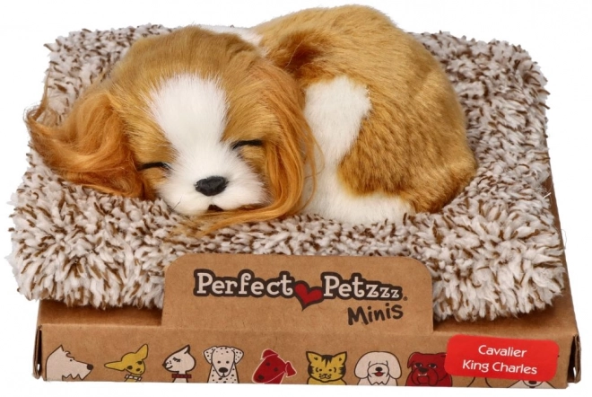 Spící štěňátko Cavalier King Charles Perfect Petzzz