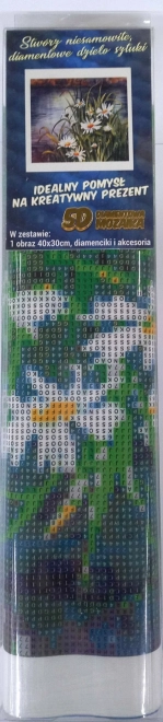 Norimpex Diamantové malování Kopretiny u vody 30x40cm