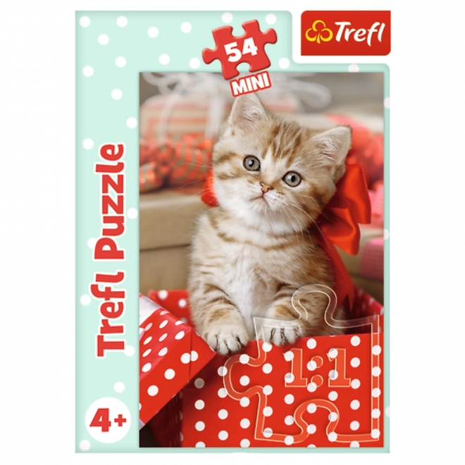 Minipuzzle 54 dílků Zvířátka - mláďata 4 druhy v krabičce 9x6,5x4cm 40ks v boxu