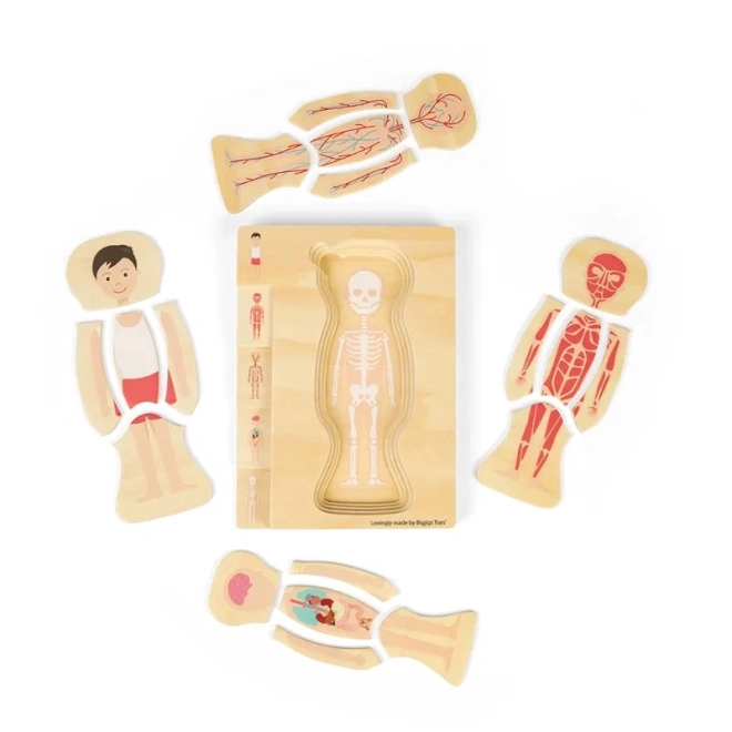 Dřevěné puzzle anatomie - chlapec
