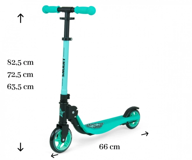 Koloběžka Smart mint scooter