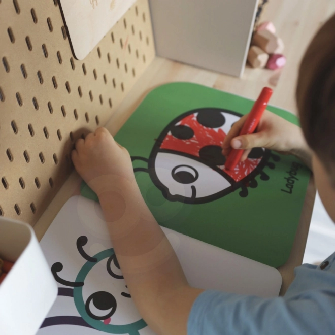 Edukační krabice Montessori Tooky Toy 6v1 od 3 let