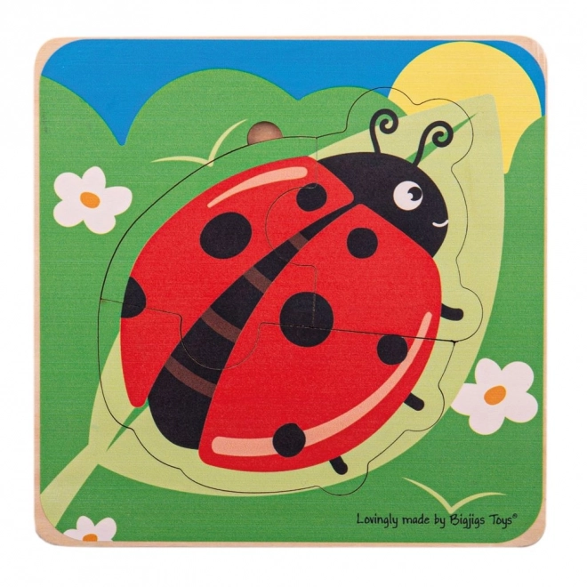 Bigjigs Toys Vkládací puzzle životní cykly – Beruška