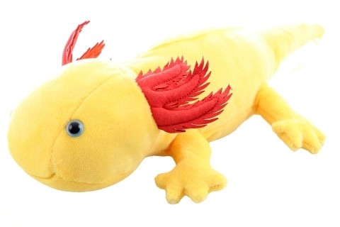 Plyšový axolotl žlutý