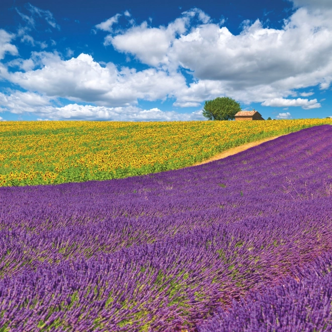 Poznámkový kalendář Provence 2026