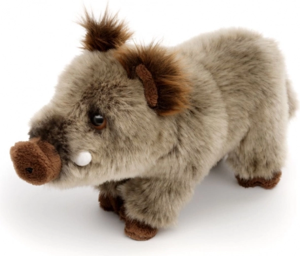 Realistické detaily divočáka