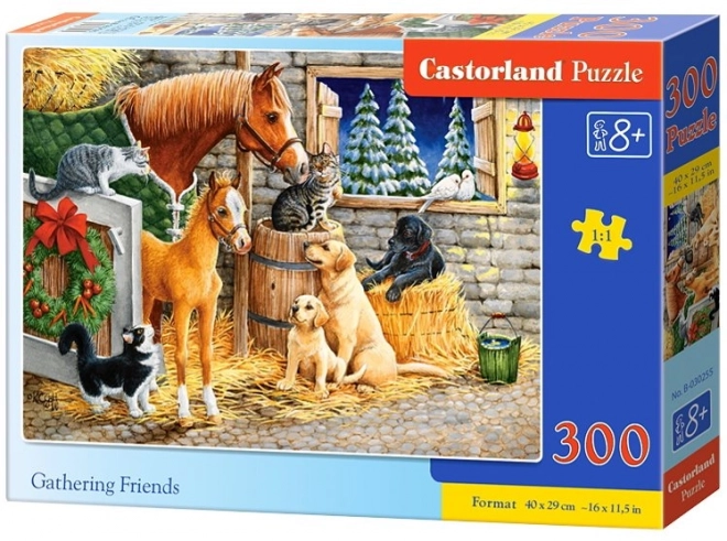 Skládačka 300 dílků Přátelské setkání