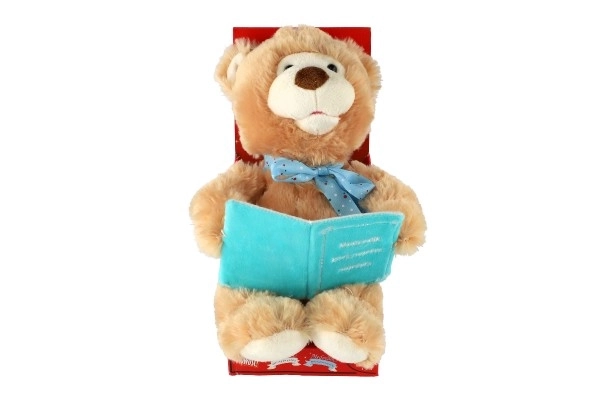 Medvěd vyprávějící pohádky slovensky mluvící plyš 28cm na baterie v krabici 14x31x18cm 18m+