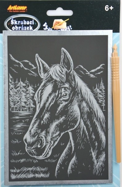 Škrabací obrázek stříbrný 14x22cm