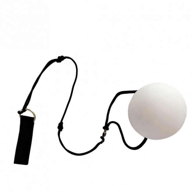 Svítící LED koule na žonglování