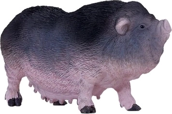 Vzdělávací hodnota