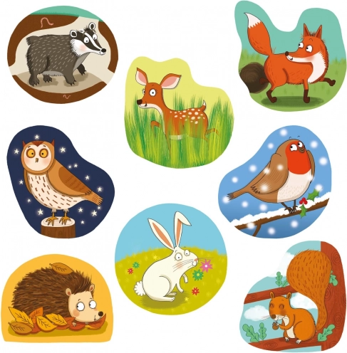 Barevné ilustrace lesních zvířat