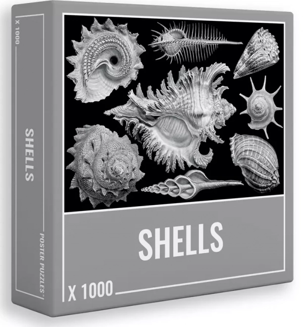 Puzzle 1000 dílků Shells od Cloudberries