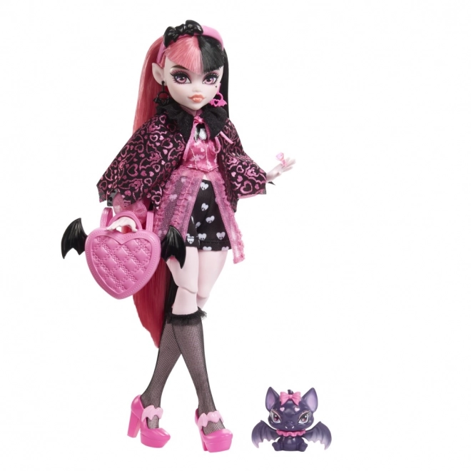 Monster High panenka s příslušenstvím