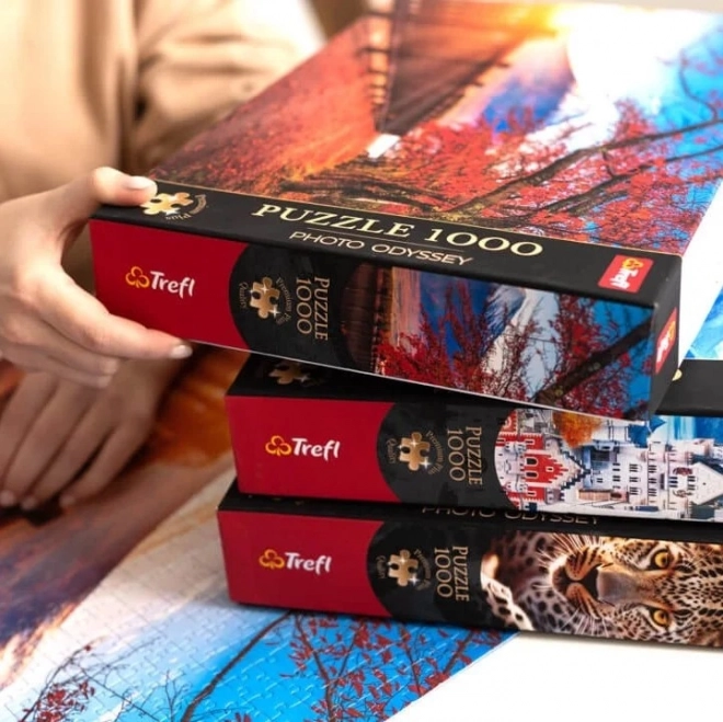 TREFL Puzzle Premium Plus Photo Odyssey: Bodeho muzeum v Berlíně 1000 dílků