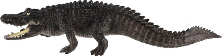 Ideální pro vzdělávání a sběratelství