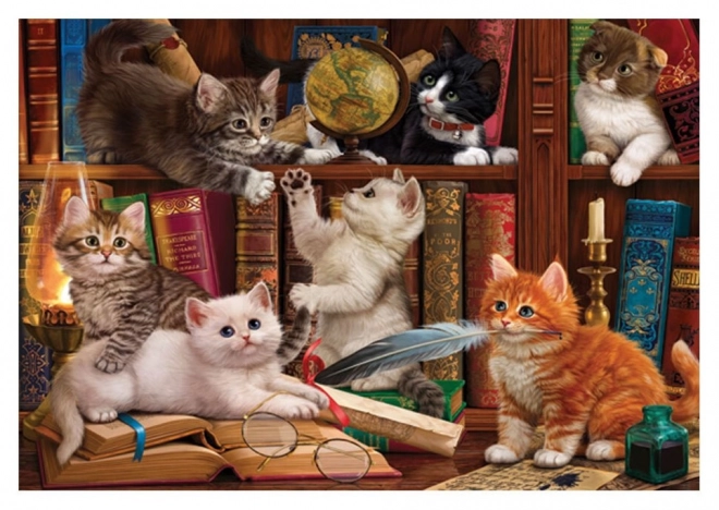 Puzzle Kočičky v knihovně 500 dílků