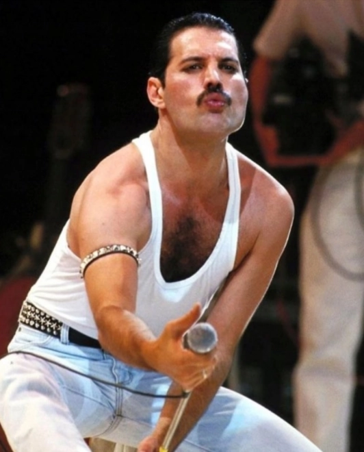 Diamantové malování Freddie Mercury 30x40 cm