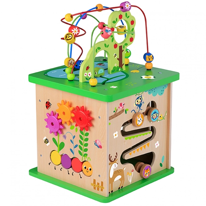 Edukativní kostka Tooky Toy