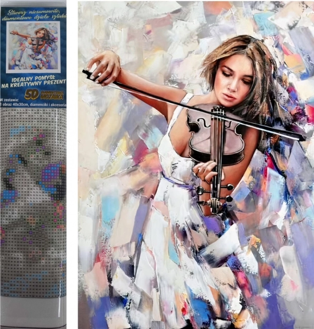 Norimpex diamantové malování houslistka 30x40 cm