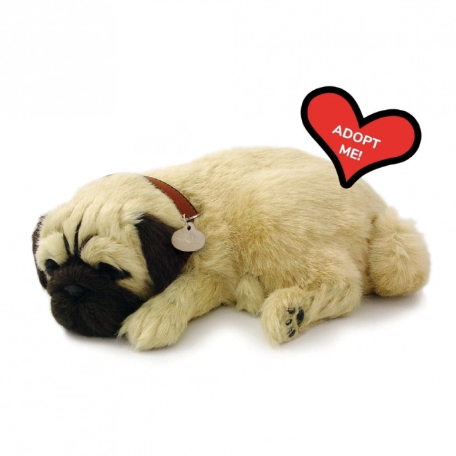 Dýchající štěně mops Perfect Petzzz