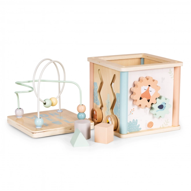 Dřevěné vzdělávací kostky Ecotoys