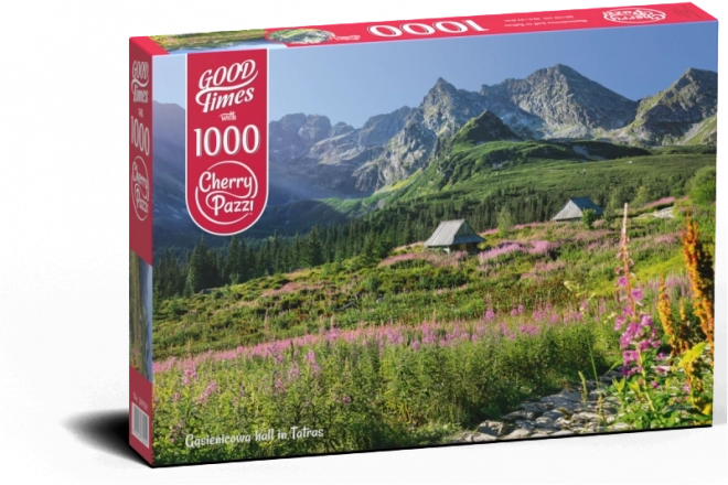 Puzzle Gąsienicowa dolina Vysoké Tatry 1000 dílků