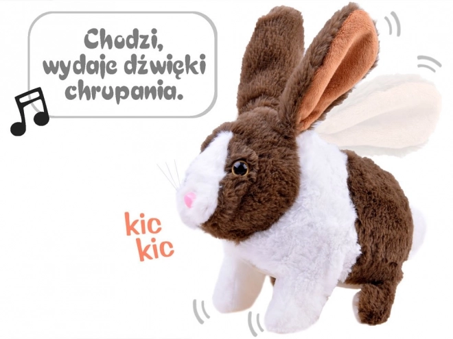 Interaktivní králíček s mrkvičkou – Hnědá