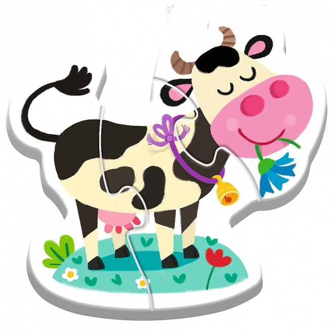 Barevné a přitažlivé ilustrace